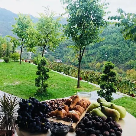 Bujtina Dini Gæstehus Rubik