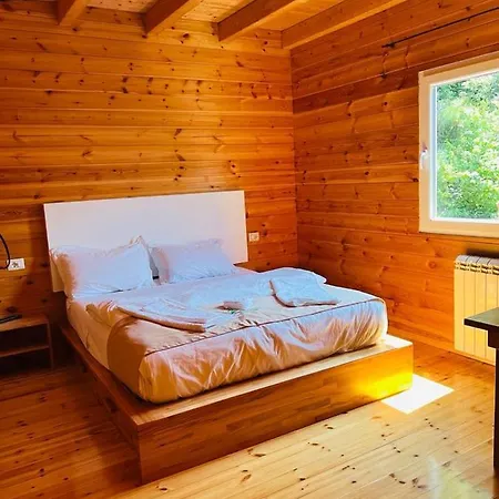 Bujtina Dini 3*